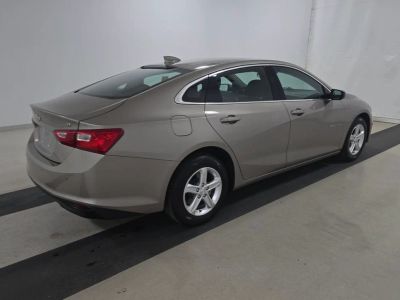 2024 Chevrolet Malibu - Photo 2