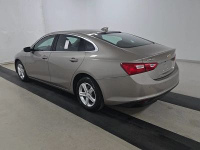 2024 Chevrolet Malibu - Photo 3