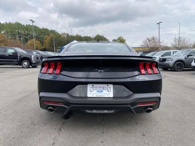 2026 Ford Mustang - Photo 4
