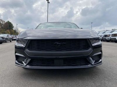 2026 Ford Mustang - Photo 8