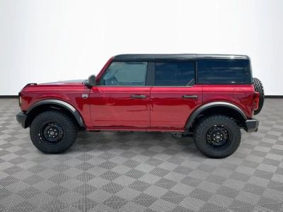 2026 Ford Bronco — rear three-quarter view