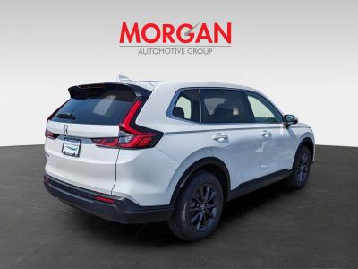 2026 Honda CR-V — detail view