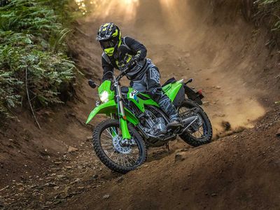 2026 Kawasaki KLX300 - Photo 15