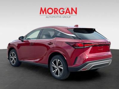 2026 Lexus RX — detail view