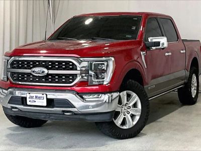 2022 Ford F-150 — side profile view