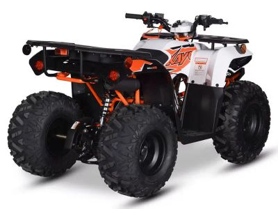 2026 Kayo Bull 110 - Photo 6