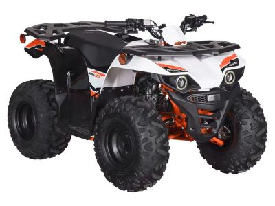 2026 Kayo Bull 110 - Photo 3