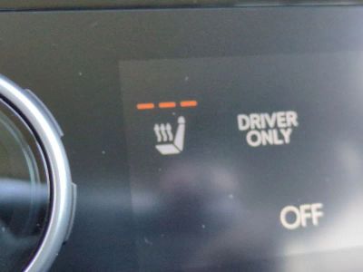 2026 Hyundai PALISADE HYBRID — photo 29 view