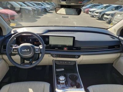 2026 Kia Carnival Hybrid — photo 22 view