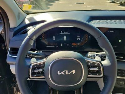 2026 Kia Carnival Hybrid — photo 13 view