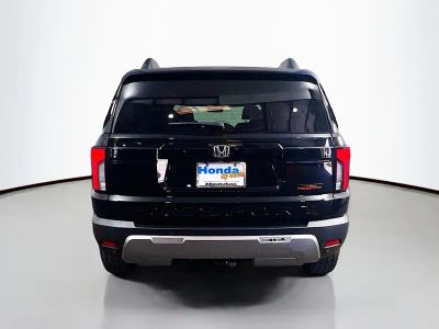 2026 Honda Passport — photo 22 view