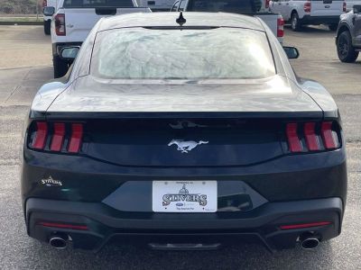 2026 Ford Mustang — interior view