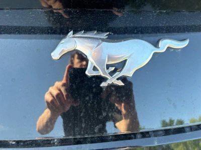 2025 Ford Mustang - Photo 5