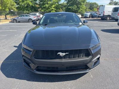 2025 Ford Mustang - Photo 9
