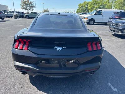 2025 Ford Mustang - Photo 4