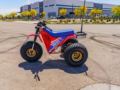 2026 MINI RCR T3 - Photo 6