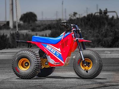 2026 MINI RCR T3 - Photo 1
