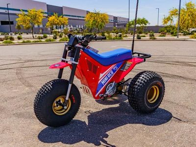 2026 MINI RCR T3 - Photo 7