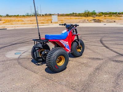 2026 MINI RCR T3 - Photo 4