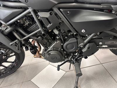 2025 Kawasaki Eliminator - Photo 10