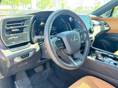 2025 Lexus RX 350 - Photo 20
