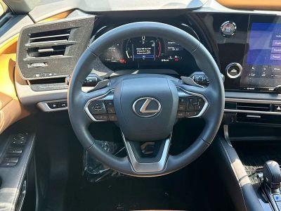 2025 Lexus RX 350 - Photo 23