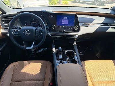 2025 Lexus RX 350 - Photo 24