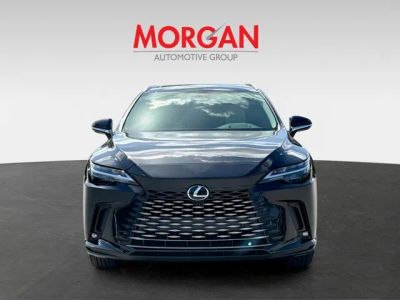 2026 Lexus RX — photo 8 view