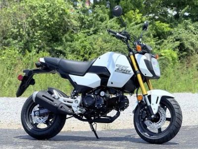 2026 Honda® Grom — front three-quarter view