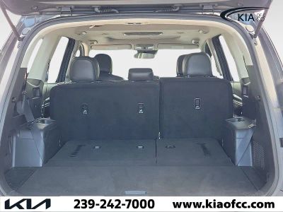 2020 Kia Telluride — photo 10 view