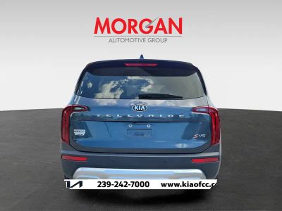 2020 Kia Telluride — detail view