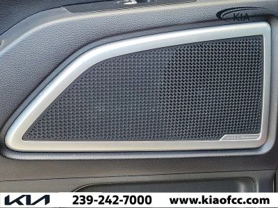 2020 Kia Telluride — photo 16 view