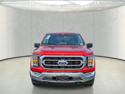 2023 Ford F-150 — side profile view
