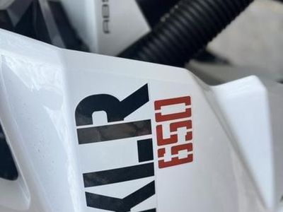 2025 Kawasaki KLR650 Pearl Crystal White/Metallic Carbon Gray ABS - Photo 11