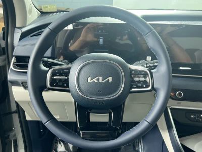 2026 Kia Carnival — photo 15 view