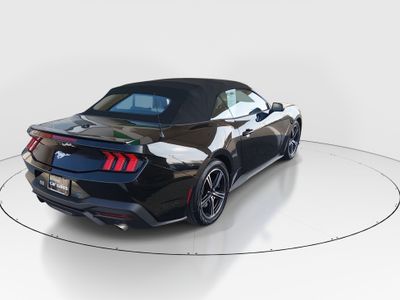 2024 Ford Mustang - Photo 7