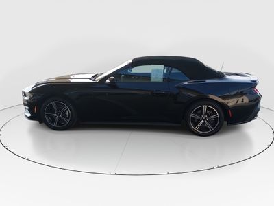 2024 Ford Mustang - Photo 4