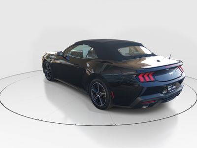 2024 Ford Mustang - Photo 5