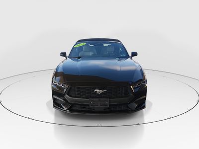 2024 Ford Mustang - Photo 2