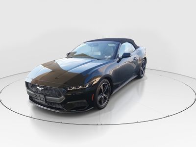 2024 Ford Mustang - Photo 3