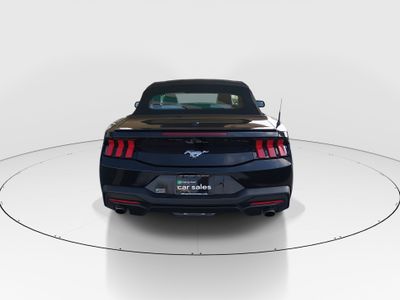 2024 Ford Mustang - Photo 6