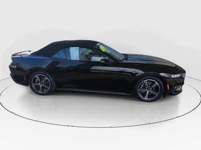 2024 Ford Mustang - Photo 8