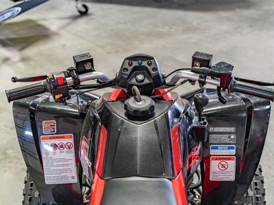 2026 Can-Am DS 250 - Photo 8