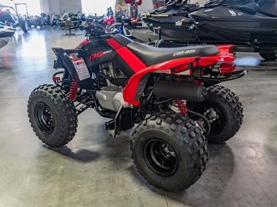 2026 Can-Am DS 250 - Photo 5