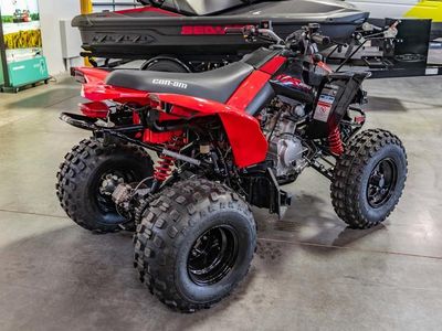 2026 Can-Am DS 250 - Photo 4