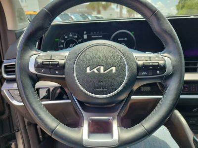 2024 Kia Sportage Hybrid — photo 19 view