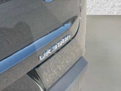 2025 Lexus UX — photo 11 view