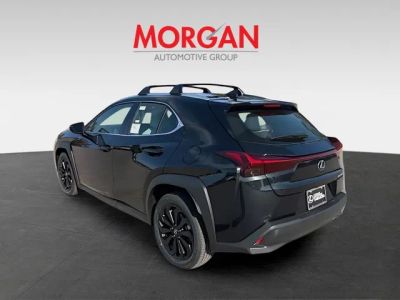 2025 Lexus UX — detail view