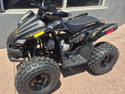 2026 Denago Powersports Trailhawk 10 FI - Photo 2
