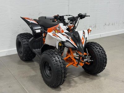 2026 Kayo Predator 125 - Photo 6